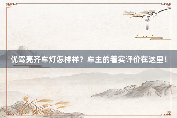 优驾亮齐车灯怎样样？车主的着实评价在这里！