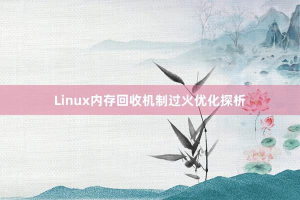 Linux内存回收机制过火优化探析