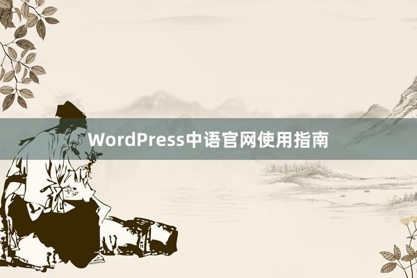 WordPress中语官网使用指南