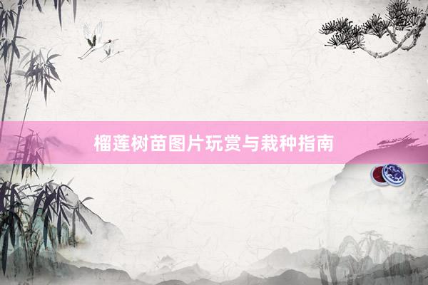 榴莲树苗图片玩赏与栽种指南