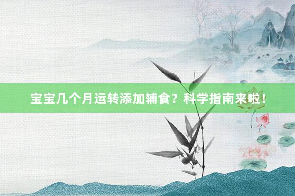 宝宝几个月运转添加辅食？科学指南来啦！